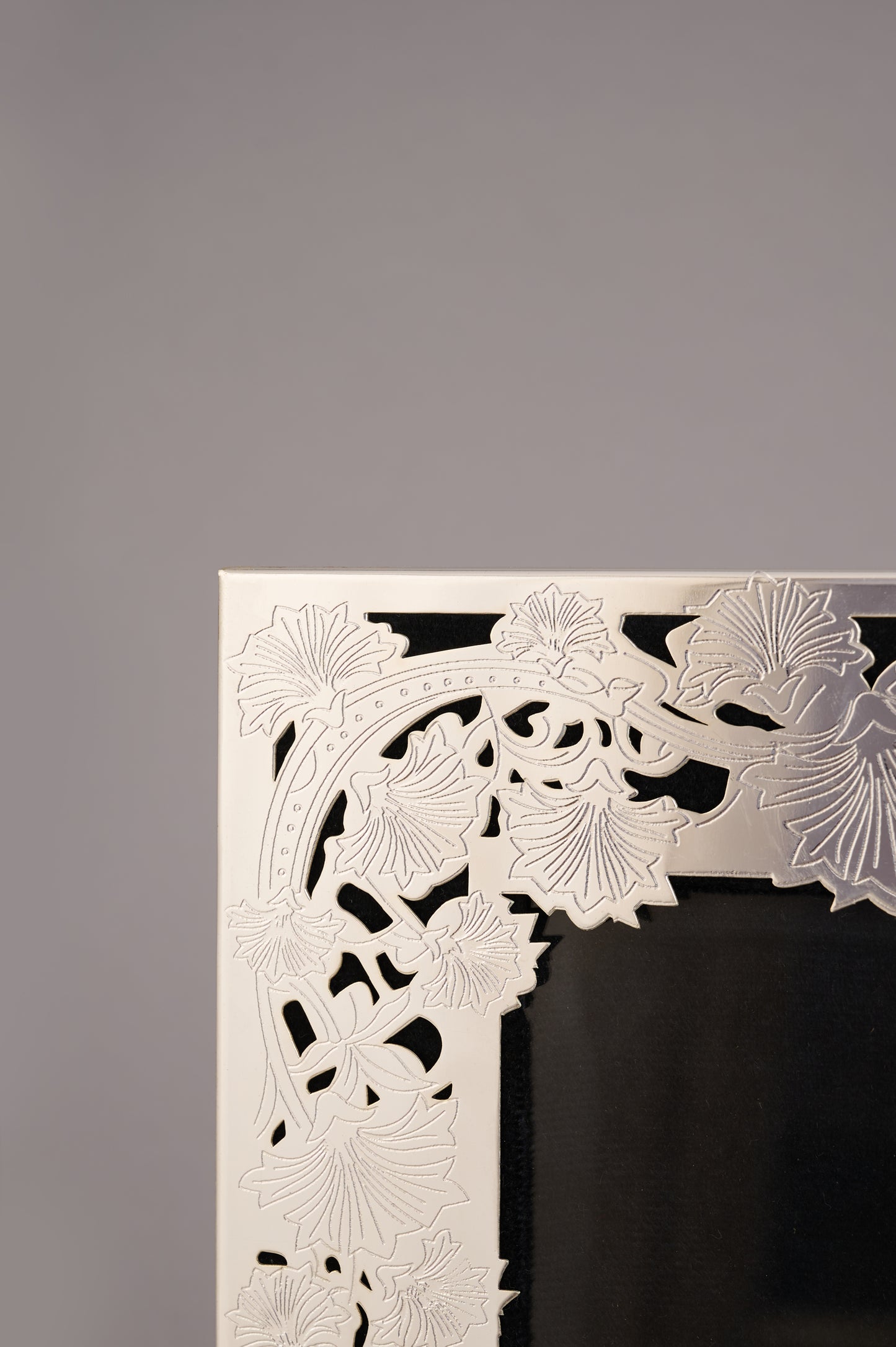 Bagh photo frame